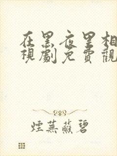 在黑夜里相拥电视剧免费观看