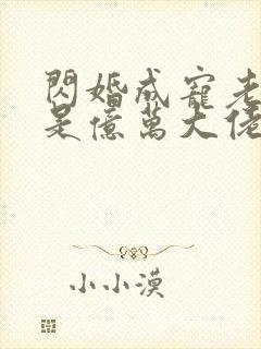 闪婚成宠老公竟是亿万大佬