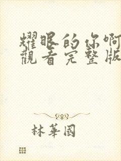 耀眼的你啊免费观看完整版电视剧高清