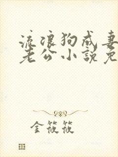 流浪狗成妻子的老公小说免费阅读