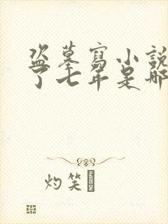 盗墓写小说被判了七年是哪本小说