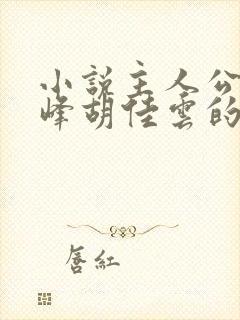 小说主人公叫秦峰胡佳云的小说