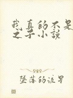 我真的不是气运之子小说