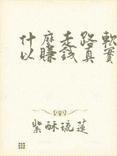 什么走路软件可以赚钱真实可靠