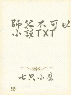 师父不可以灵犀小说TXT