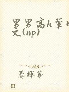 男男高h荤肉欲文(np)