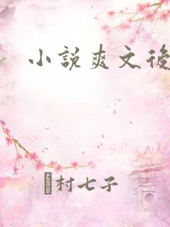 小说爽文后宫