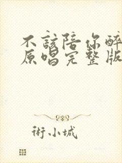 不该陪你醉歌曲原唱完整版