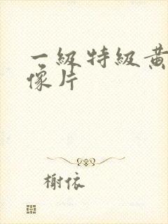 一级特级黄色录像片