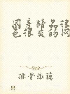 国产精品很黄很色很爽的网站