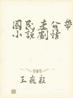 国民老公带回家小说剧情