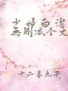 少 妇 白 洁无删减全文阅读