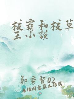 校霸和校草双男主小说