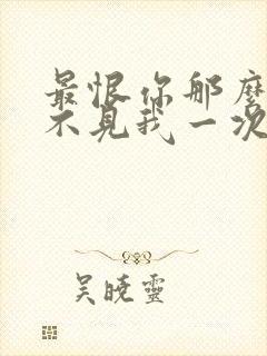 最恨你那么久都不见我一次什么歌