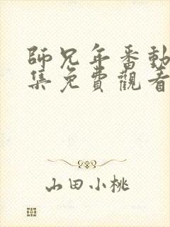 师兄年番动漫全集免费观看