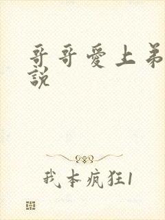 哥哥爱上弟弟小说