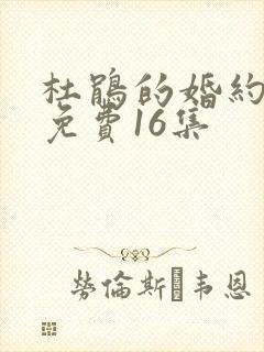 杜鹃的婚约漫画免费16集