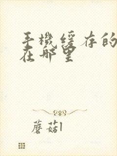 手机缓存的视频在哪里