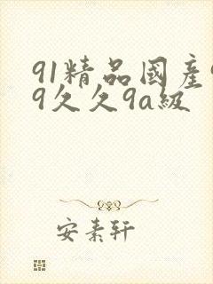 91精品国产99久久9a级