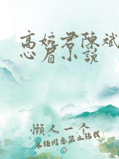 高婉君陈斌和赵心眉小说