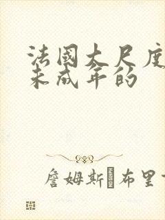 法国大尺度电影未成年的