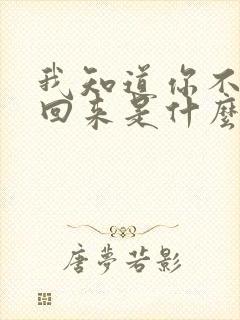 我知道你不会再回来是什么歌