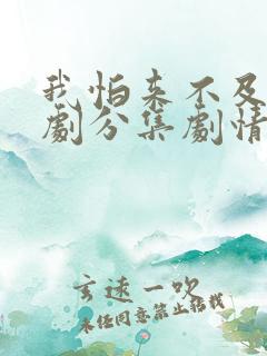 我怕来不及电视剧分集剧情介绍