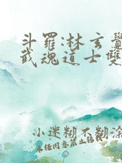 斗罗:林玄觉醒武魂道士双生小说