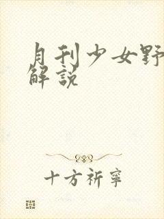 月刊少女野崎君解说