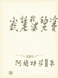 小说我的冷艳总裁老婆免费阅读