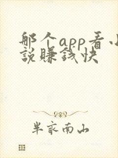 那个app看小说赚钱快