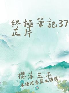 终极笔记37集正片