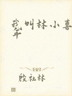 我叫林小喜,今年