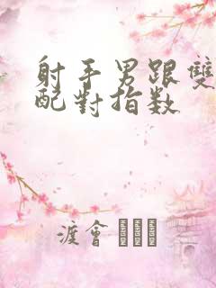 射手男跟双子女配对指数