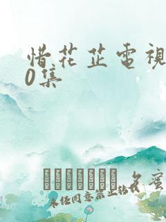 惜花芷电视剧40集