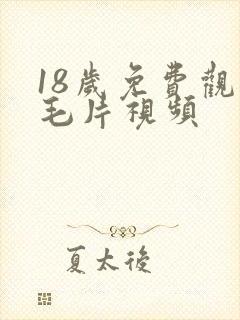 18岁免费观看毛片视频