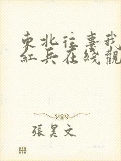 东北往事我叫赵红兵在线观看完整版免费的