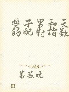 双子男和天秤女的配对指数