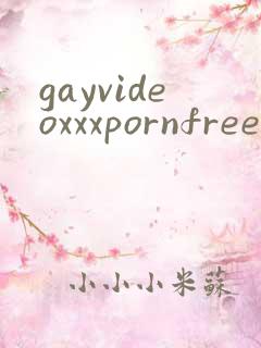gayvideoxxxpornfree