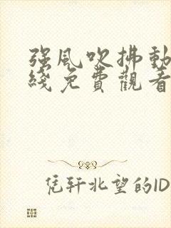 强风吹拂动漫在线免费观看