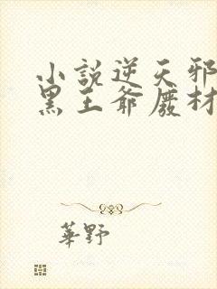 小说逆天邪医兽黑王爷废材妃