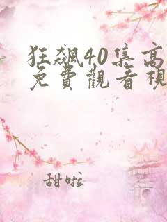 狂飙40集高清免费观看视频