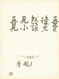 再见然后再也不见小说免费阅读全文