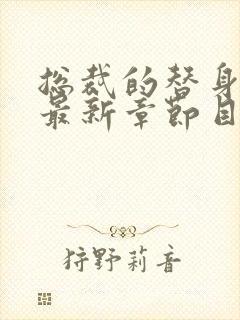 总裁的替身前妻最新章节目录