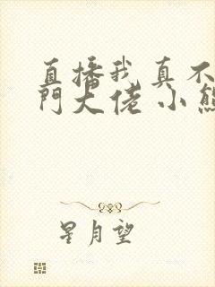 直播我真不是道门大佬 小熊猫