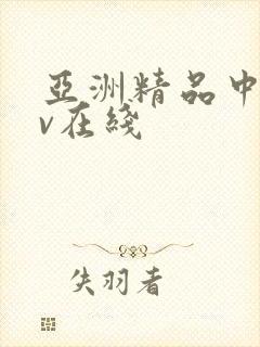 亚洲精品中文av在线