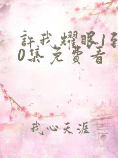 许我耀眼1到40集免费看