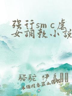 强行sm c虐女调教小说