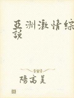 亚洲激情综合小说