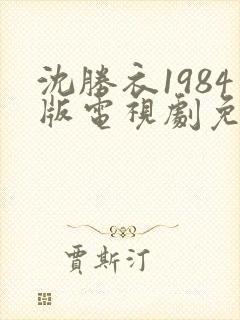 沈胜衣1984版电视剧免费观看